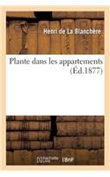 Plante Dans Les Appartements