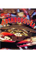 Les Arthropodes