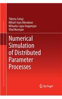 Numerical Simulation of Distributed Parameter Processes