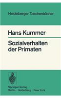 Sozialverhalten Der Primaten