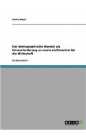 demographische Wandel als Herausforderung an sowie als Potential für die Wirtschaft