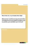 Bilanzansatz und Bewertung immaterieller Vermögenswerte des Anlagevermögens und Goodwill nach IAS/IFRS und US-GAAP