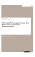 Effizienz als Verfassungsprinzip aus dem Blickwinkel des deutschen Verfassungsrechts
