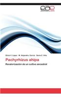 Pachyrhizus Ahipa