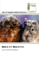Brice et Bricette