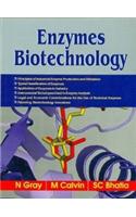 Enzymes Biotechnology