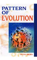 Pattern of Evolution