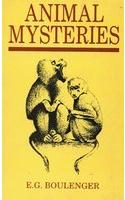 Animal Mysteries