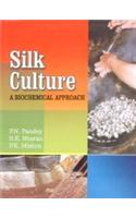 Silk Culture