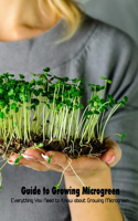 Guide to Growing Microgreen