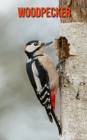 Woodpecker