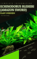 Echinodorus bleheri (Amazon Sword)