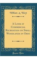 A Look at Commercial Recreation on Small Woodlands in Ohio (Classic Reprint)