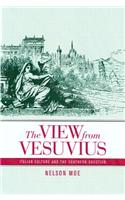 The View from Vesuvius