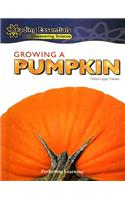 Growing a Pumpkin