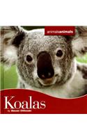 Koalas: (Animals, Animals)