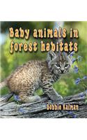 Baby Animals in Forest Habitats