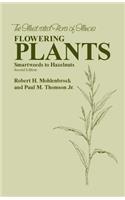 Flowering Plants