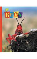 Bugs