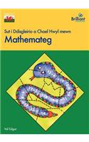 Sut i Ddisgleirio a Chael Hwyl mewn Mathemateg