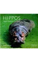 Hippos