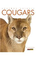 Cougars: (Amazing Animals)