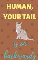 Human your tail is on backwards