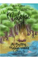 The Mystery of Malajai Woods: Book 1