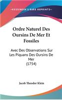 Ordre Naturel Des Oursins De Mer Et Fossiles