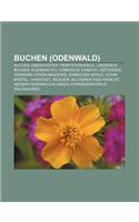 Buchen (Odenwald): Buchen, Eberstadter Tropfsteinhohle, Landkreis Buchen, Kleinkastell Honehaus, Einbach, Gotzingen, Hermann-Cohen-Akademie(German)