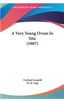 A Very Young Ovum in Situ (1907)