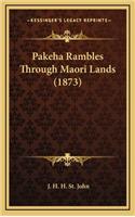 Pakeha Rambles Through Maori Lands (1873)