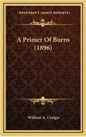 A Primer Of Burns (1896)