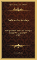 Das Wesen Der Soziologie: Vortrag, Gehalten In Der Gehe Stiftung Zu Dresden Am 12 Januar 1907 (1907)