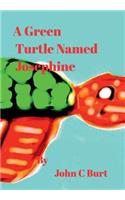 A Green Turtle Named Josephine.