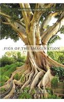 Figs of the Imagination