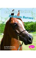 Caballos Rabes/Arabian Horses