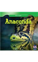 Anaconda
