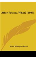 After Prison, What? (1903)