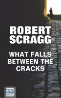 What Falls Between the Cracks