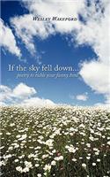 If the Sky Fell Down...: Poetry to Tickle Your Funny Bone(English)