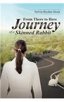 From There to Here-Journey of a Skinned Rabbit