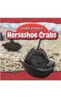 Horseshoe Crabs