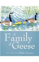 A Family of Geese