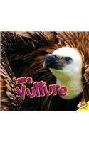 I Am a Vulture: (I Am)
