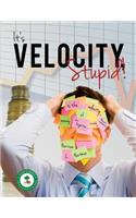 It's Velocity Stupid!