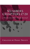 Numbers, Chapters 17-20: A Reflective Bible Study Journal(The Reflective Bible Study)