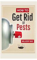 How To Get Rid Of Pests