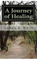A Journey of Healing