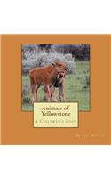 Animals of Yellowstone